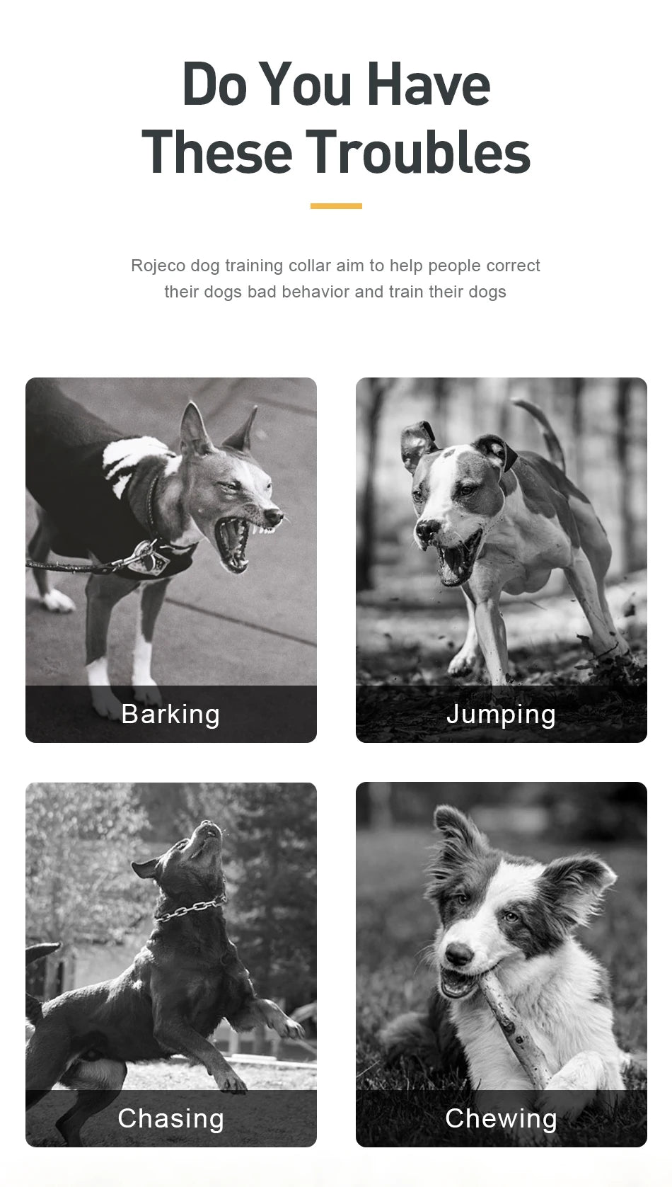 Remote Dog Training Collar - 1000m Range Rechargeable Bark Control System