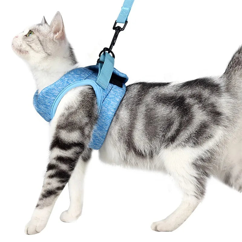 Anti-Escape Kitten Harness & Leash Set