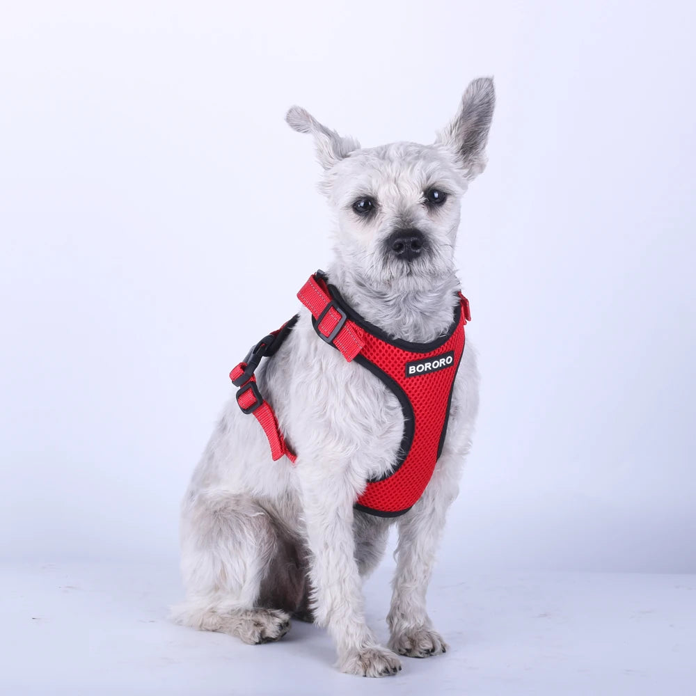 Breathable Mesh Vest Harness for Dogs & Cats