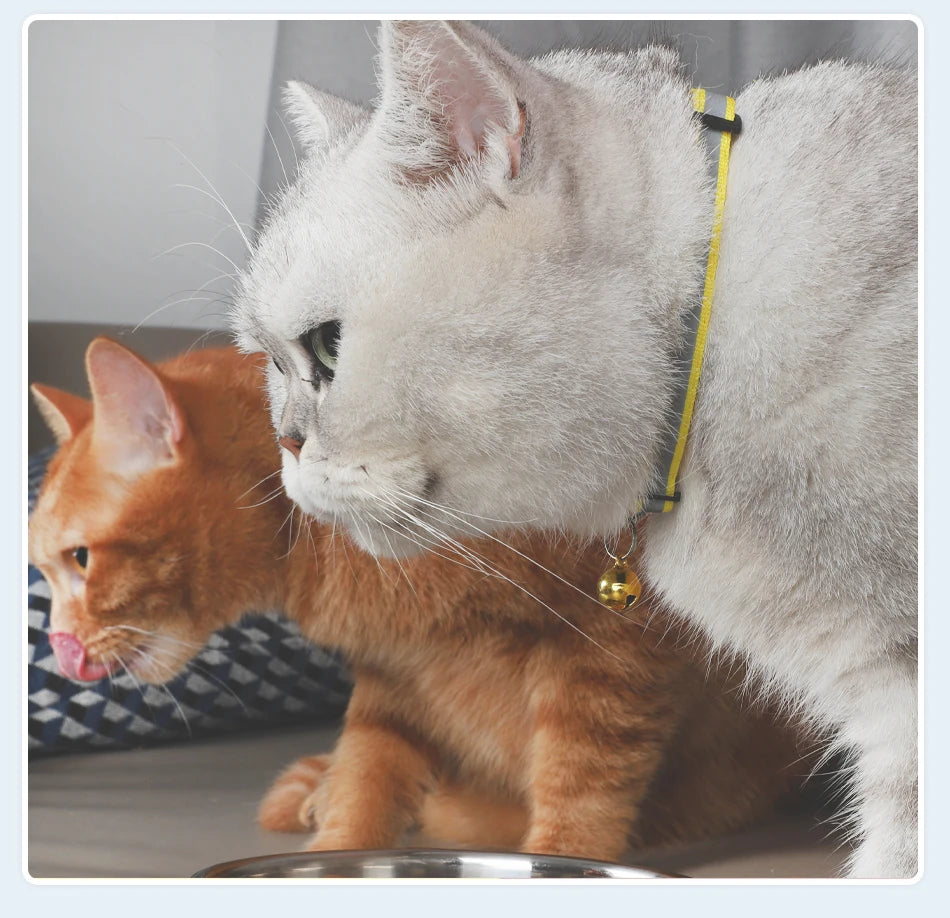 Reflective Cat Collar with Bell - Adjustable Night Safety Collar for Cats & Kittens