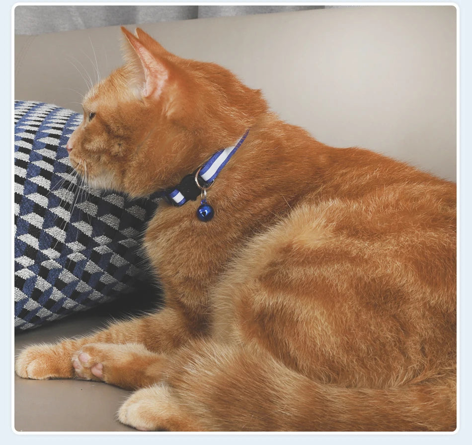 Reflective Cat Collar with Bell - Adjustable Night Safety Collar for Cats & Kittens