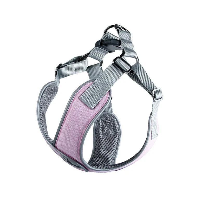Reflective Mesh Dog Harness & Leash Set for Small & Medium Dogs
