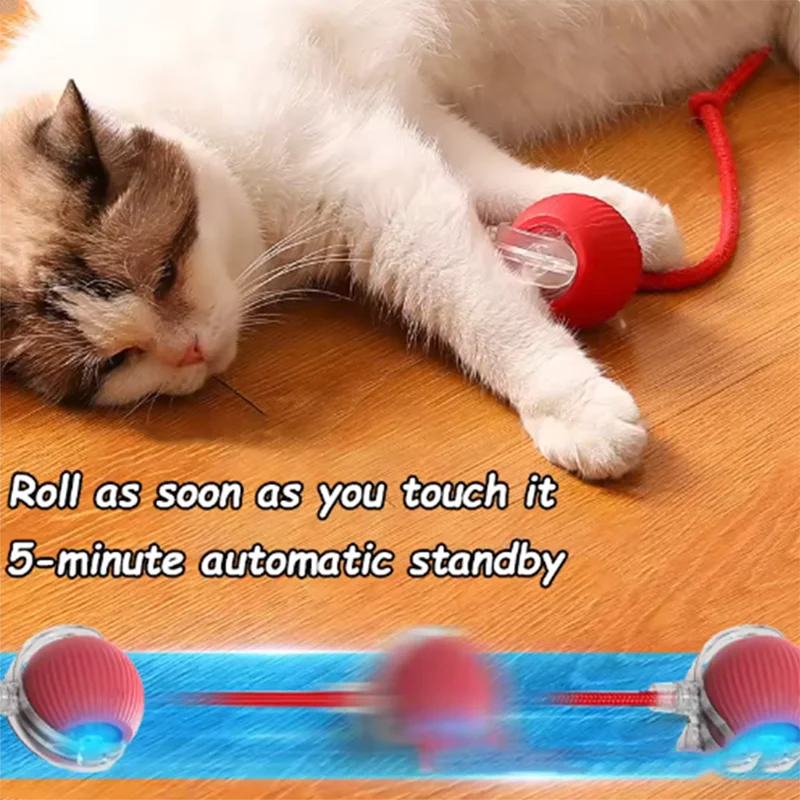 Cat Interactive Ball Toy - Automatic Rolling Ball with Tail