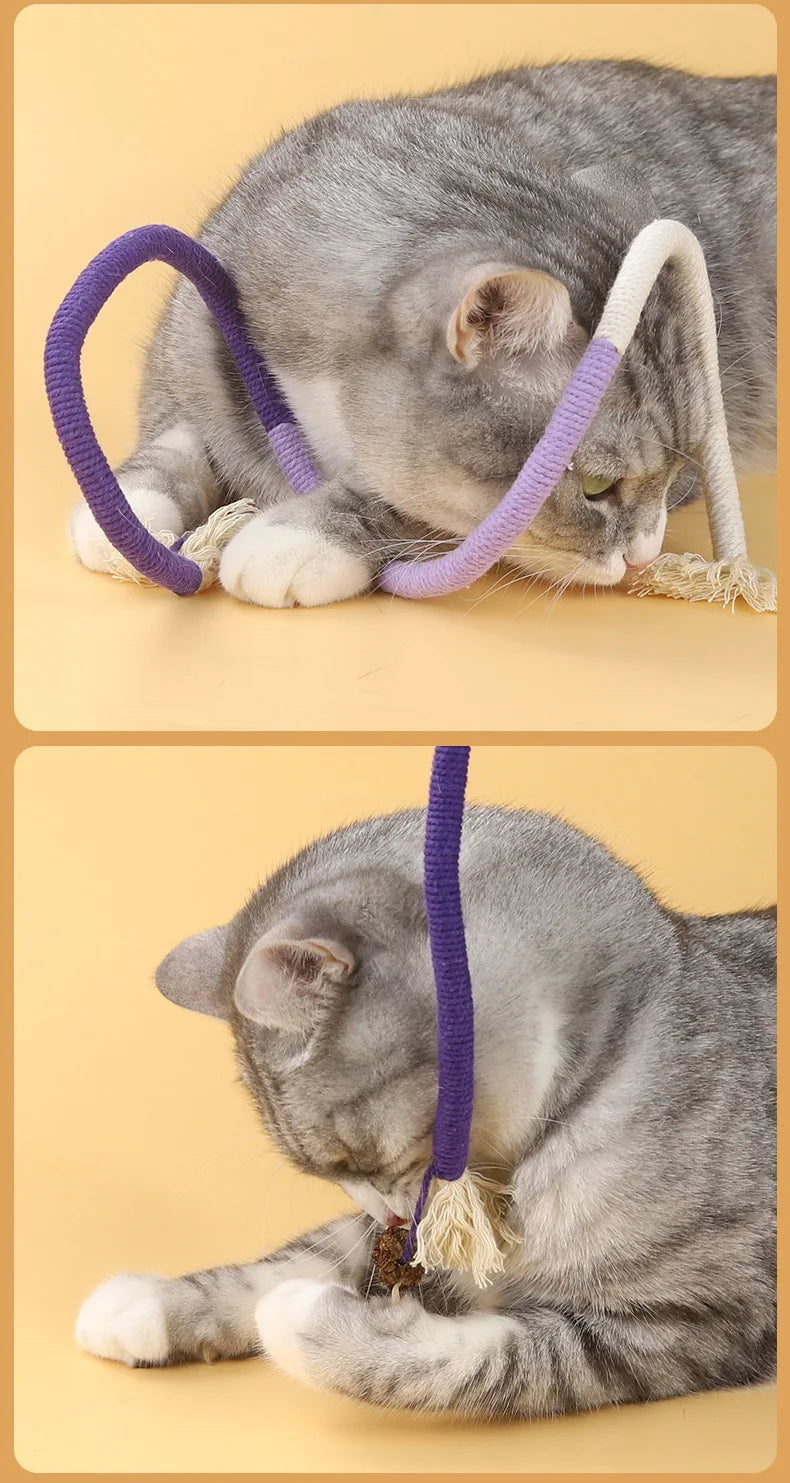 Interactive Cat Toys Set - Feather Teasers and Chew Toys for Kittens