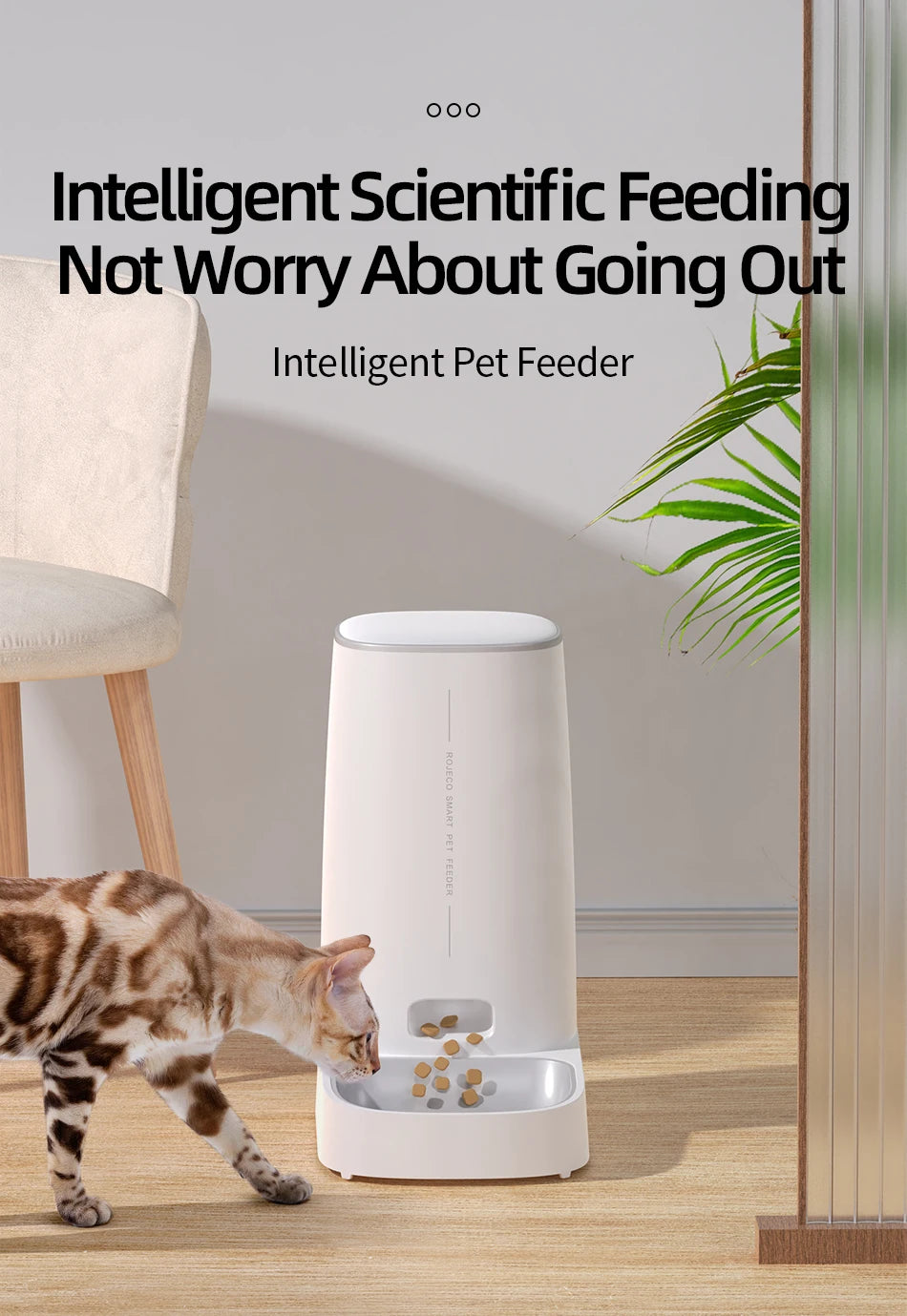 Smart WiFi Automatic Cat Feeder with Remote Control