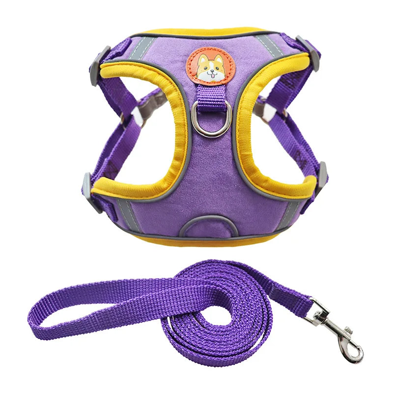 No-Pull Harness and Leash Set - Reflective Vest for Small Dogs