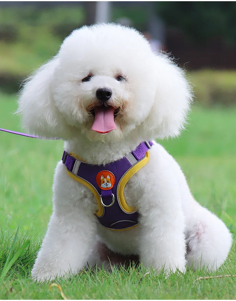 No-Pull Harness and Leash Set - Reflective Vest for Small Dogs