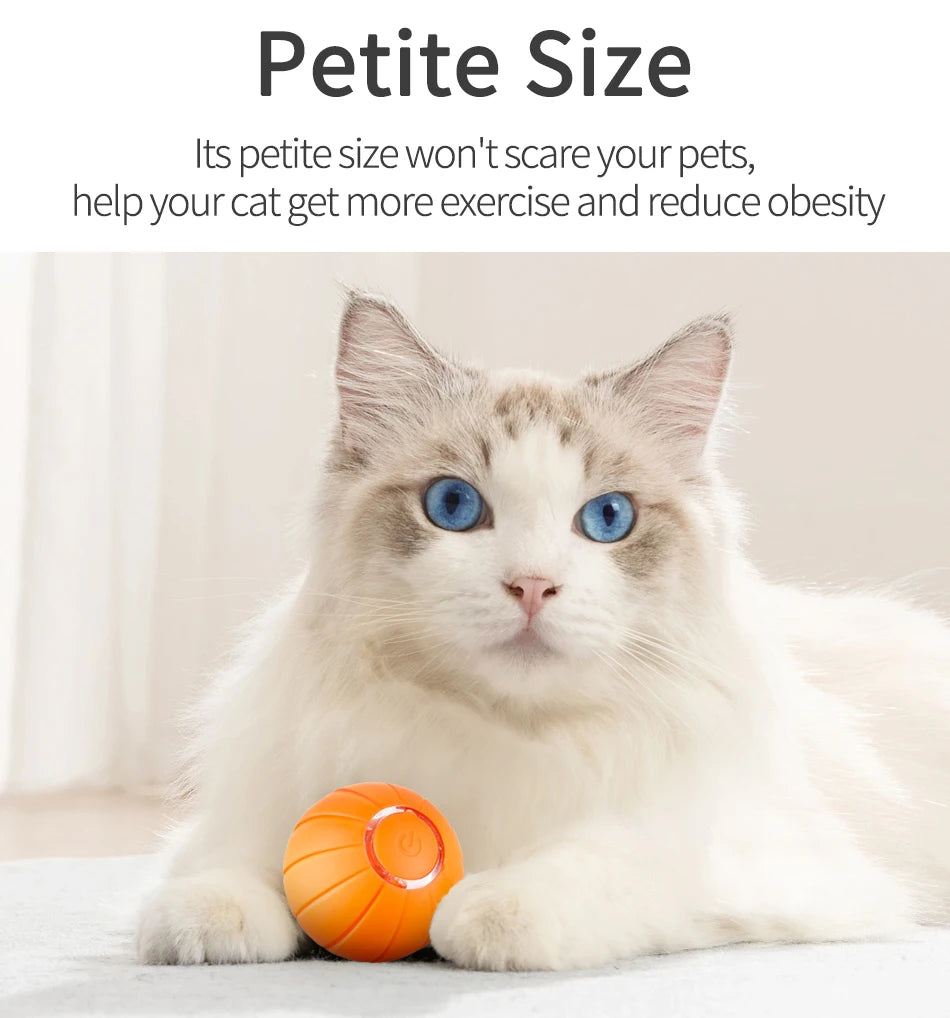 Smart Automatic Bouncing Cat Ball - Interactive LED Self-Moving Pet Toy