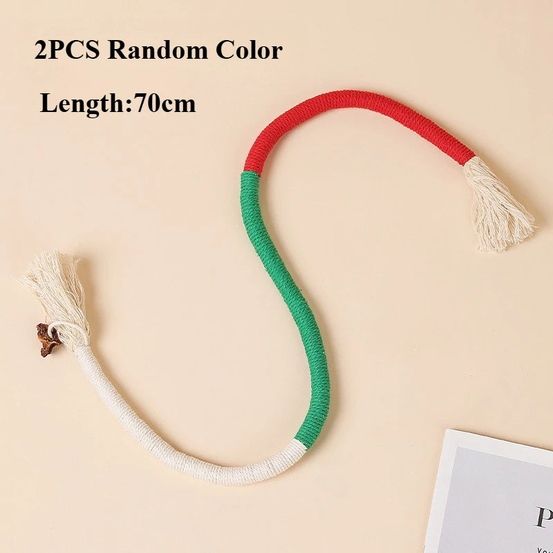 Interactive Cat Toys Set - Feather Teasers and Chew Toys for Kittens
