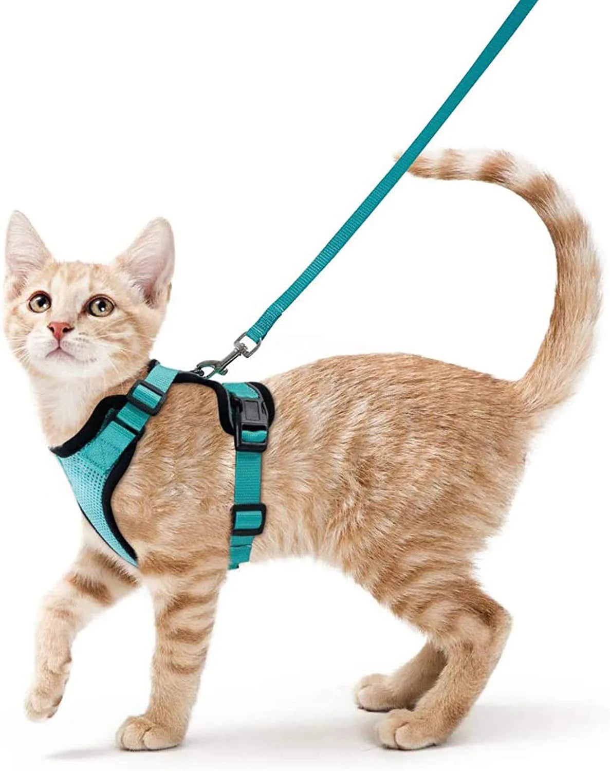 Escape-Proof Cat Harness and Leash Set - Adjustable Reflective Vest