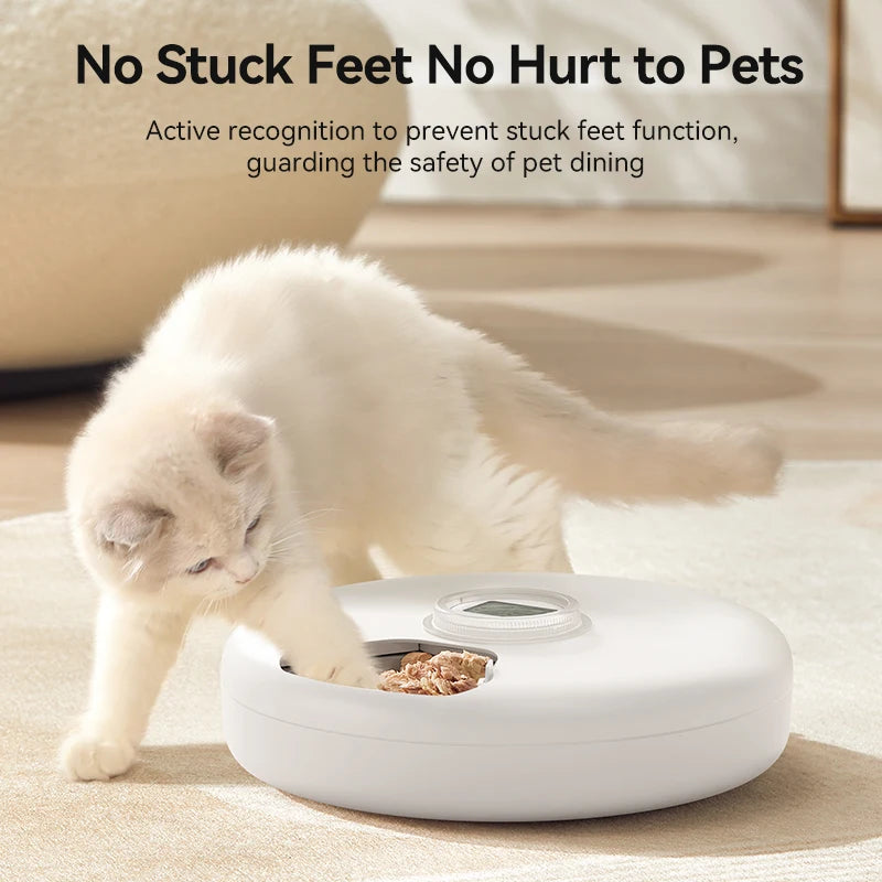 Wireless Automatic Pet Feeder with 6-Meal Capacity and Smart LED Touch Control