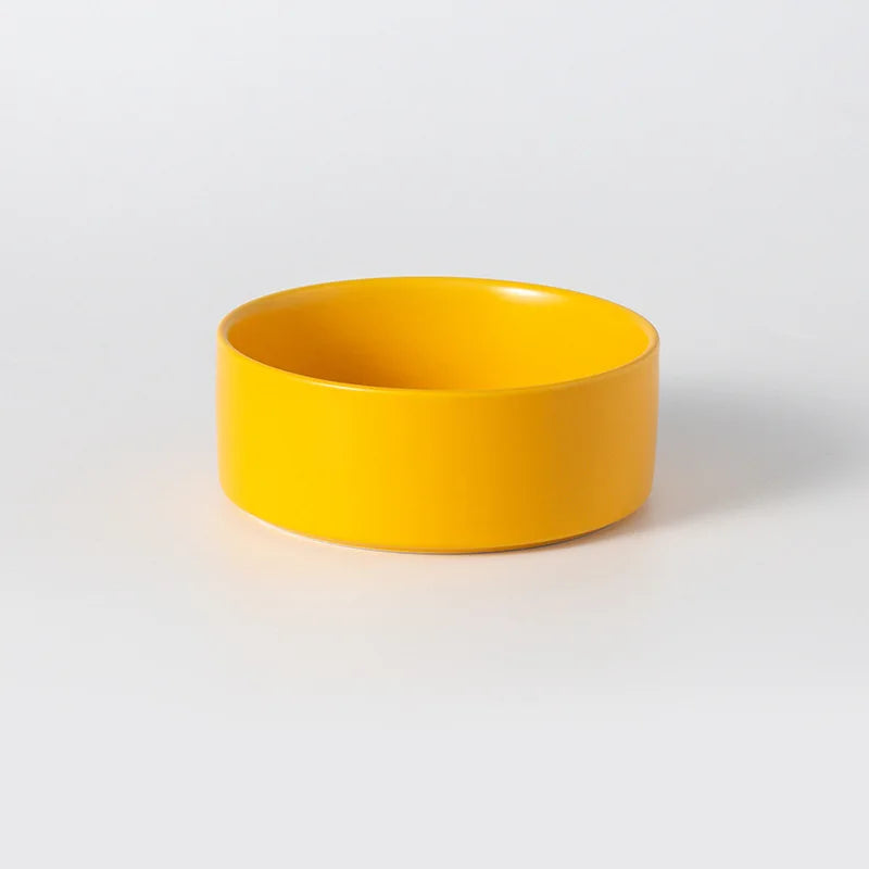 Elevated Double Pet Bowl