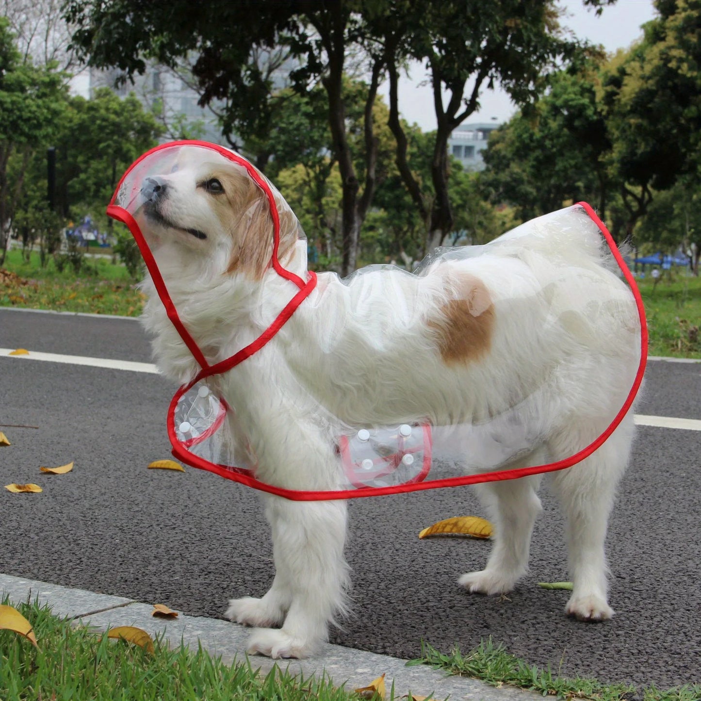 Clear Transparent Pet Raincoat with Hood - Waterproof Poncho for Small Dogs & Cats