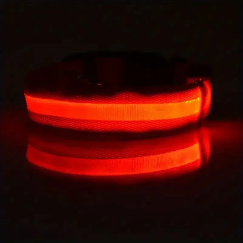 Nylon LED Night Safety Flashing Glow in the Dark Dog Leash - Luminous Fluorescent Pet Dog Collar
