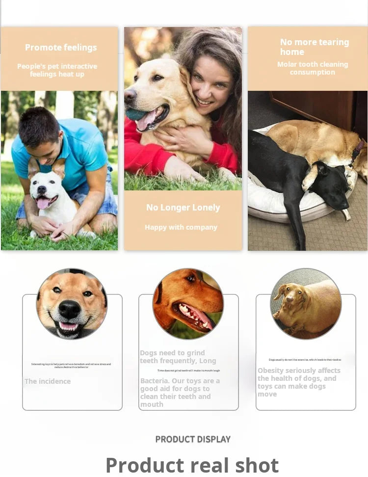 Durable Animal Design Squeaky Chew Toys - Dental Health Toys for Dogs