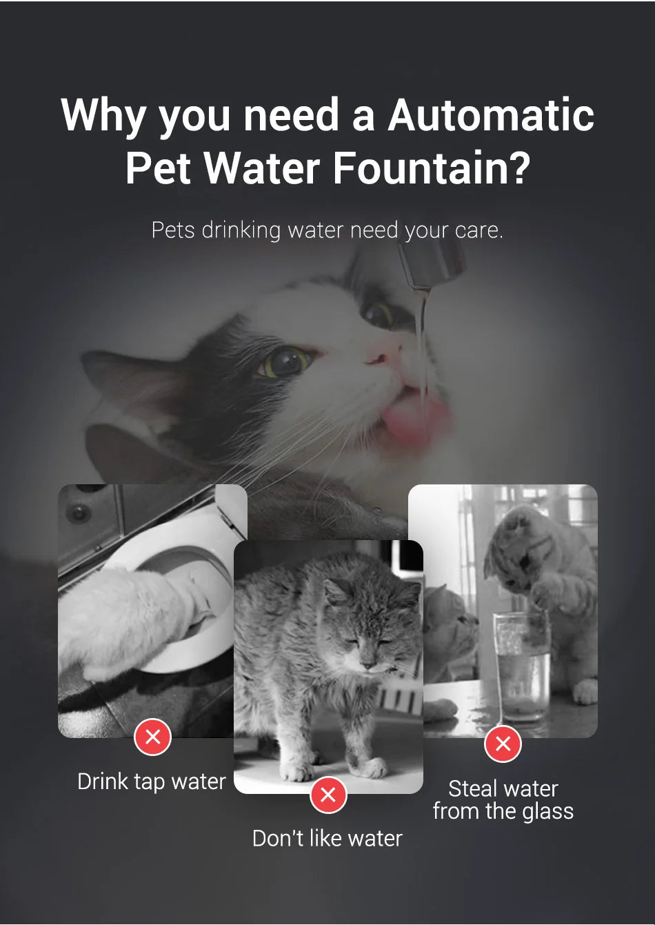 Premium Stainless Steel Cat Water Fountain with Smart Motion Sensor