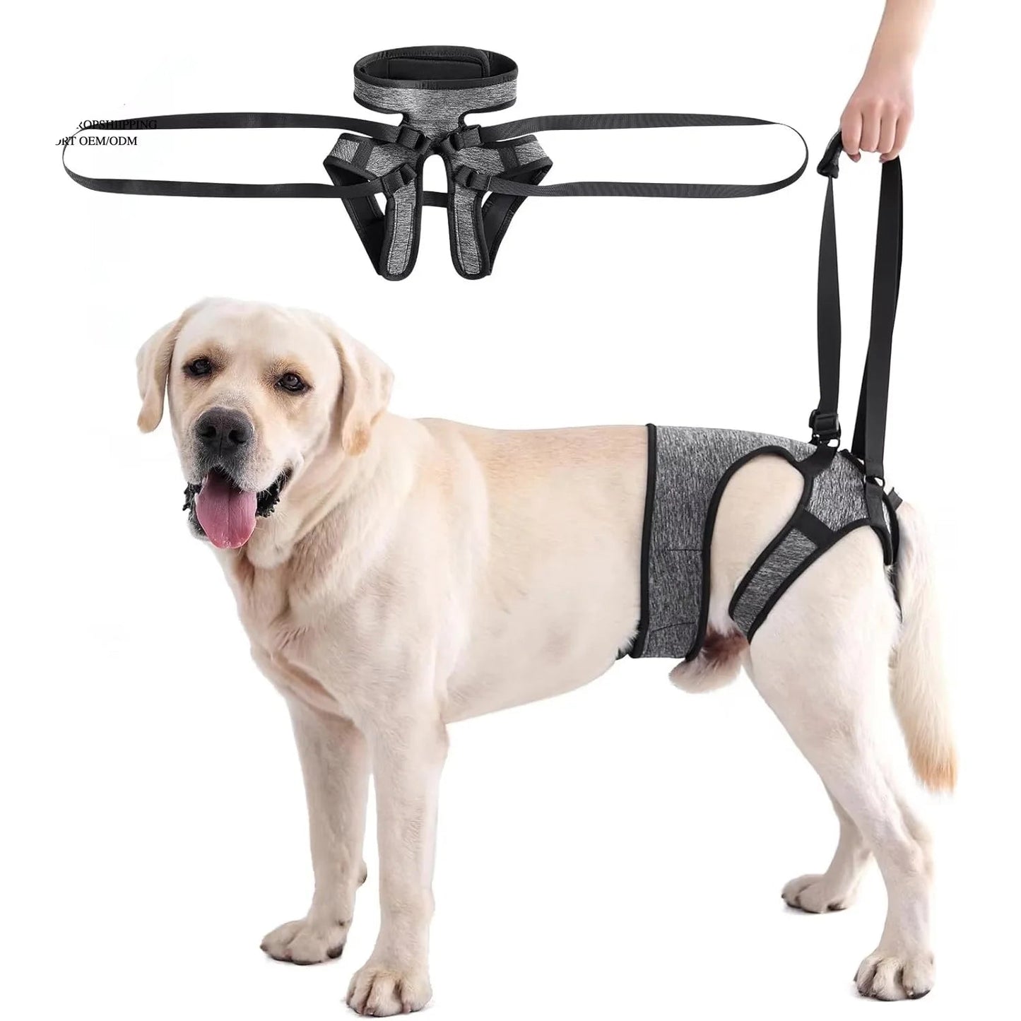 Hind Leg Support Dog Sling for Large & Senior Dogs | Adjustable Mobility Aid