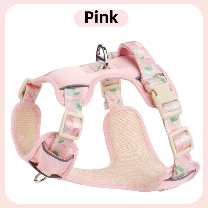 Adjustable Dog Collar and Harness Set
