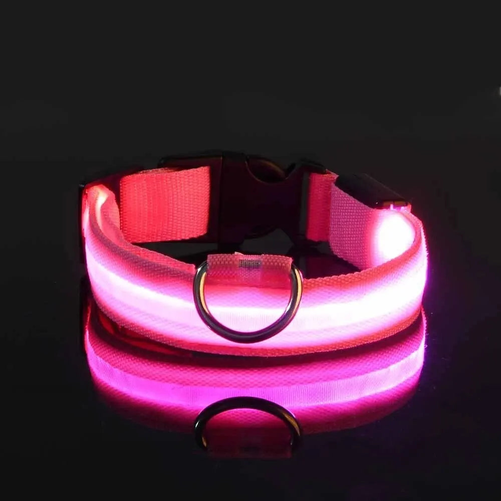 Nylon LED Night Safety Flashing Glow in the Dark Dog Leash - Luminous Fluorescent Pet Dog Collar