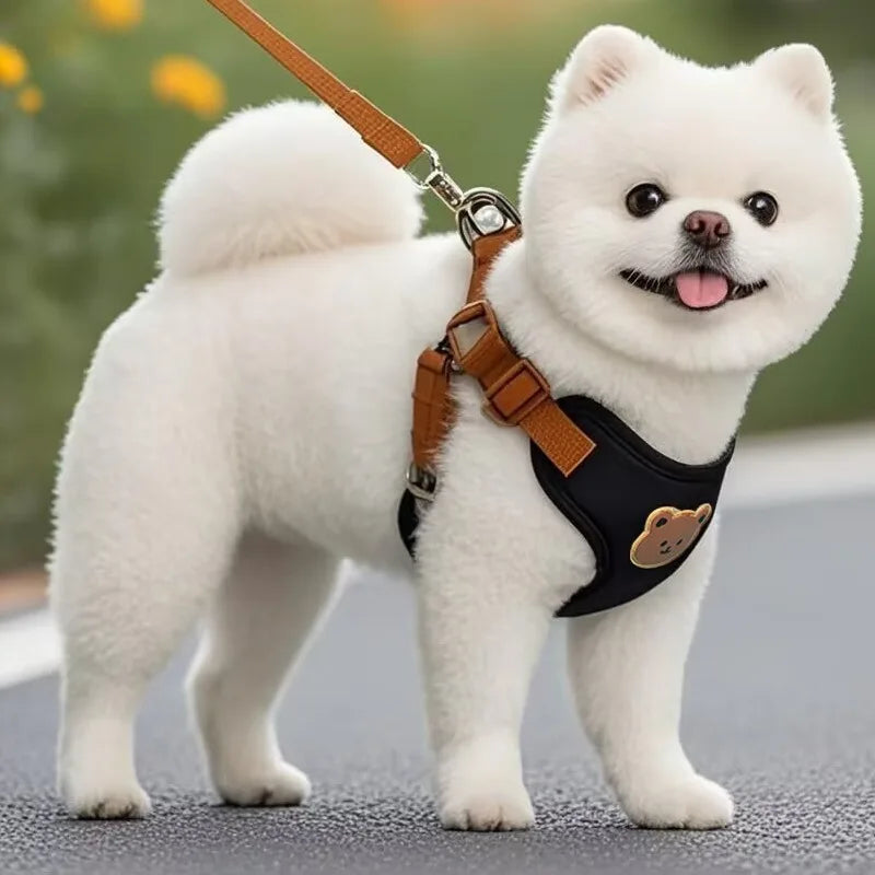 Breathable Pet Harness and Leash Set - Comfortable Chest Vest for Small to Medium Dogs