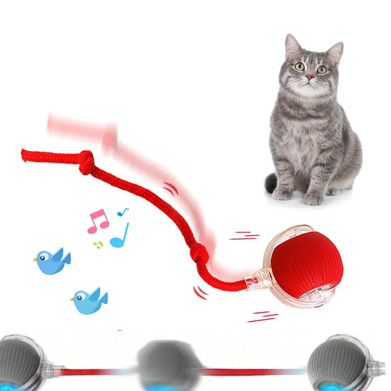 : Interactive Cat Toy Ball | Relieve Boredom | Plush Teasing Cat Ball - Smarter Pet Care