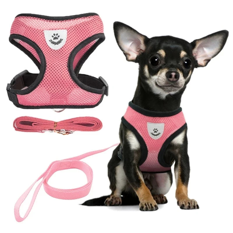 Adjustable Small Dog Harness and Leash Set - Breathable Vest