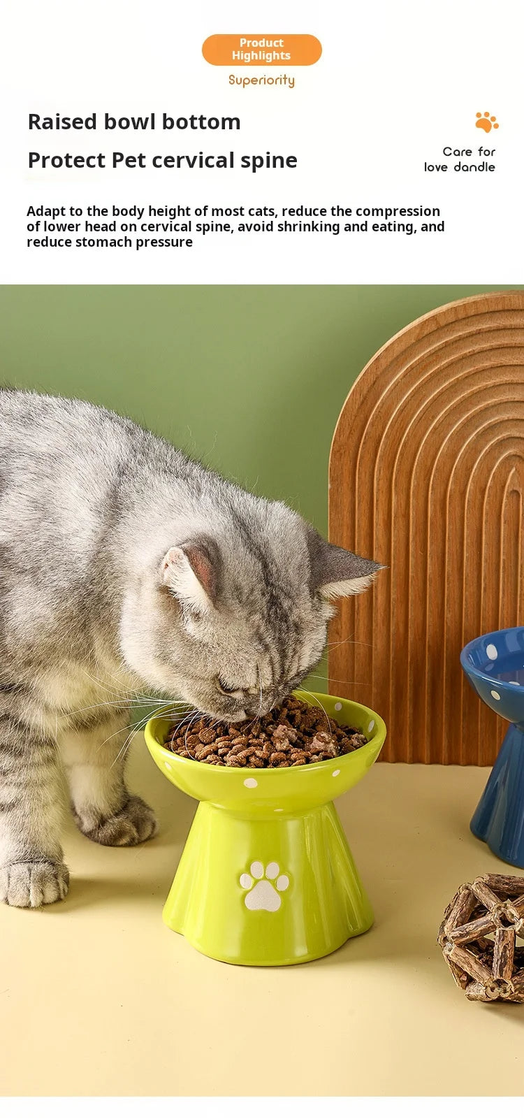 Elevated Ceramic Cat Bowl - Anti-Black Chin Design with Cervical Spine Protection