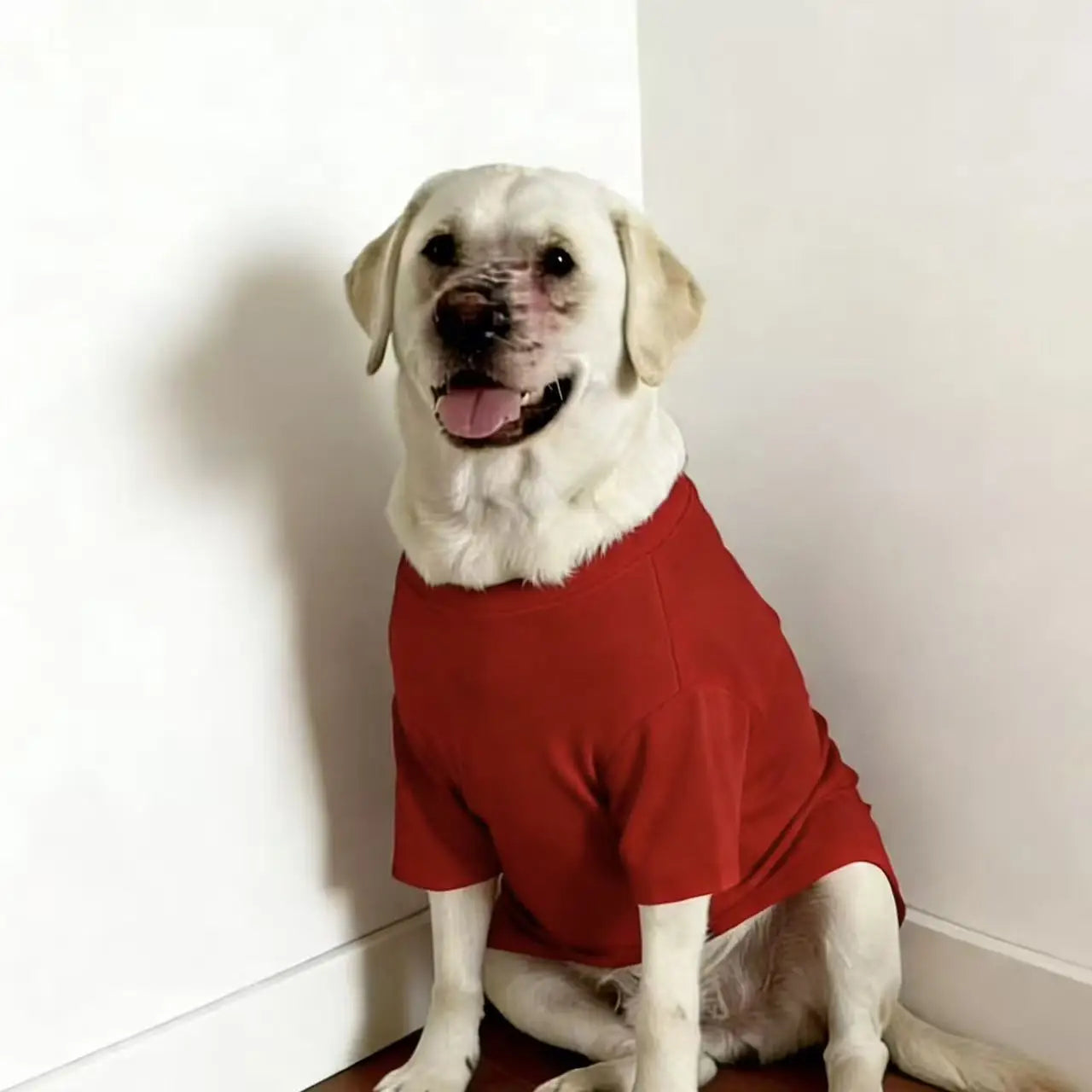 Gilet rafraîchissant doux et respirant pour chien | T-shirt décontracté d'été pour chiens de taille moyenne et grande