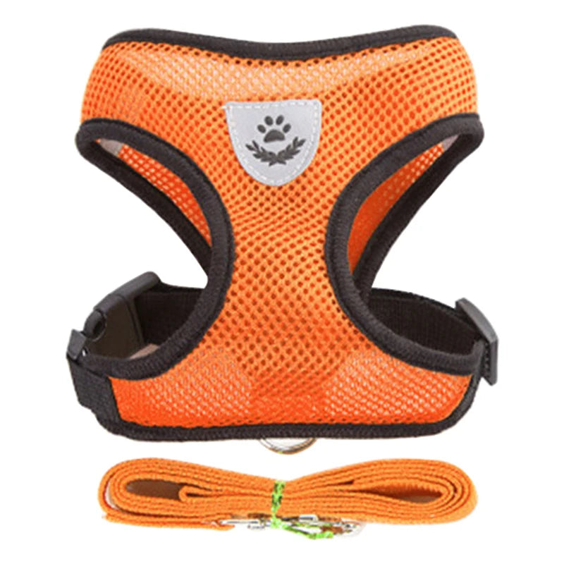Adjustable Small Dog Harness and Leash Set - Breathable Vest