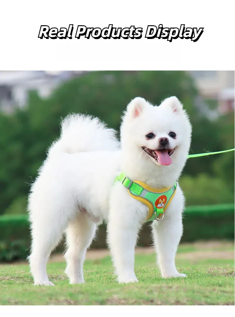 No-Pull Harness and Leash Set - Reflective Vest for Small Dogs