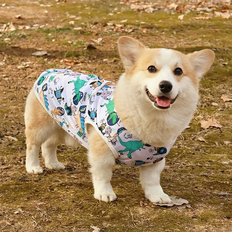 Summer Dog Cooling Vest - Breathable Cartoon Design for Hot Weather