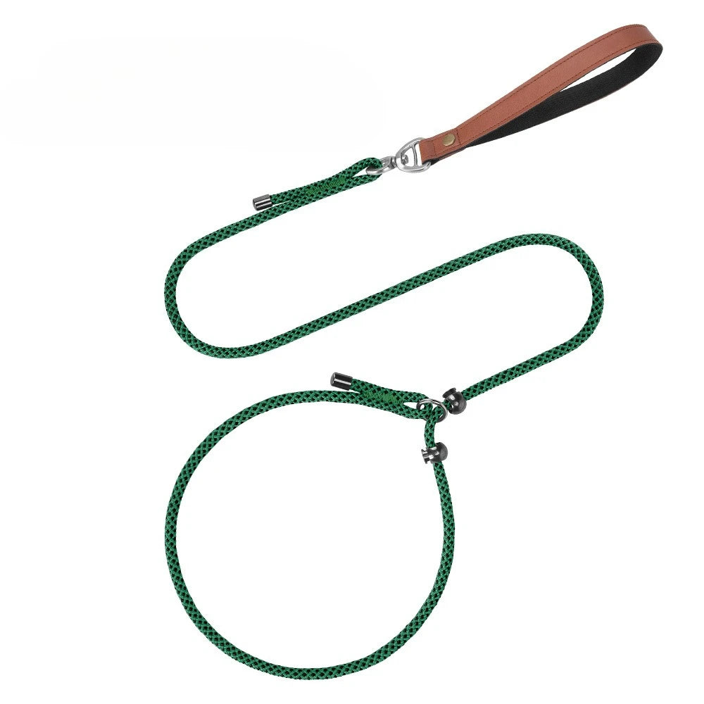 Laisse-collier étrangleur anti-nœuds réglable pour petits chiens