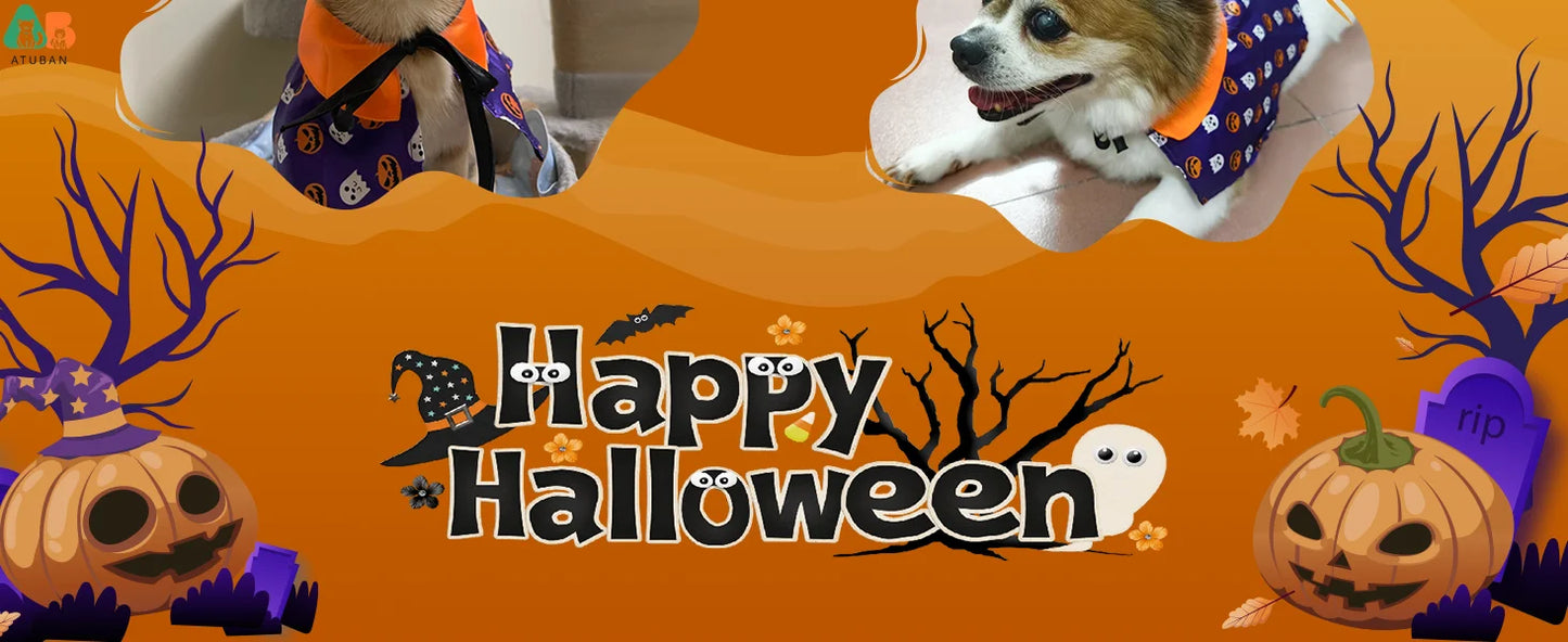Déguisement d'Halloween pour Chat - Cape de Sorcier et Tenue de Sorcière pour Chats et Petits Chiens