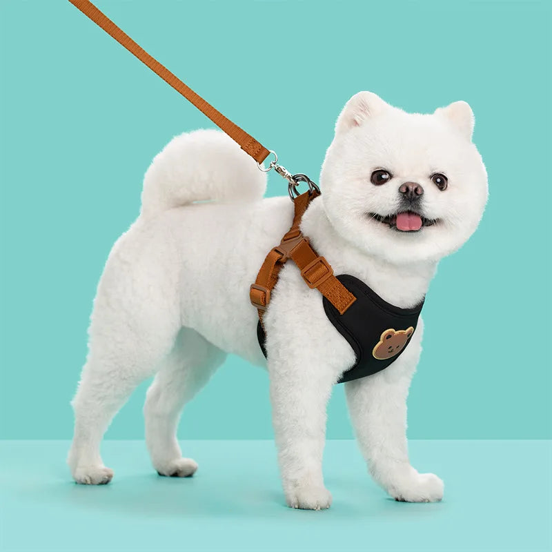 Breathable Pet Harness and Leash Set - Comfortable Chest Vest for Small to Medium Dogs