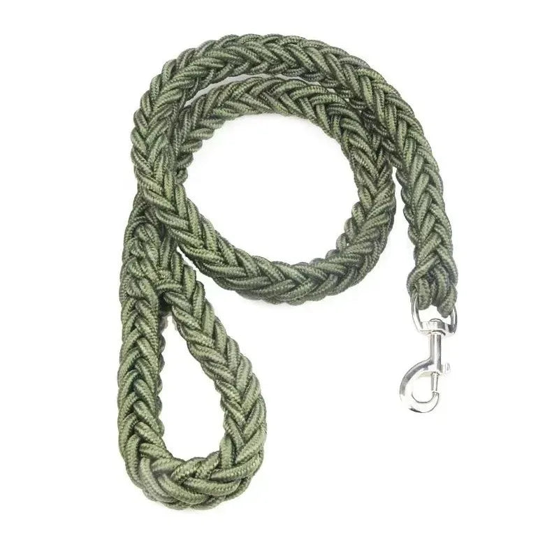 Ensemble laisse et collier pour chien avec gilet harnais