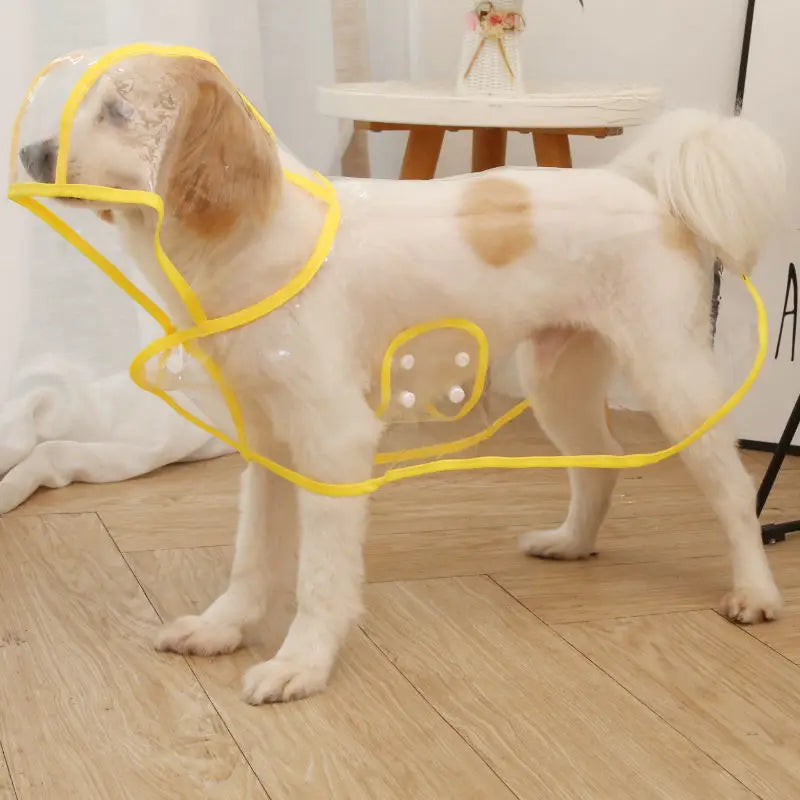 Transparent Waterproof Raincoat for Small & Medium Dogs