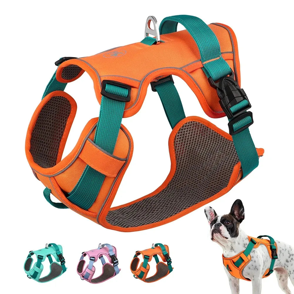 Dog Chest Strap Harness & Leash Set - Adjustable for Small to Large Breeds