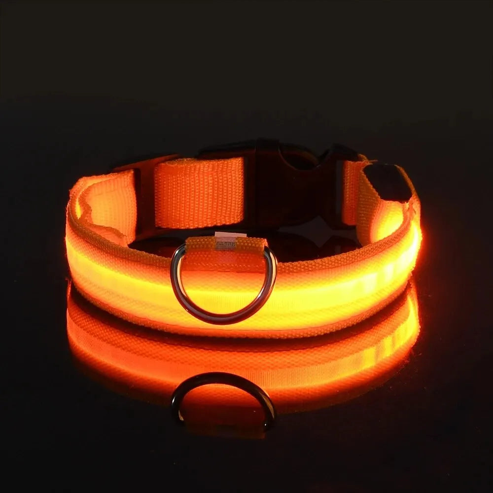 Nylon LED Night Safety Flashing Glow in the Dark Dog Leash - Luminous Fluorescent Pet Dog Collar