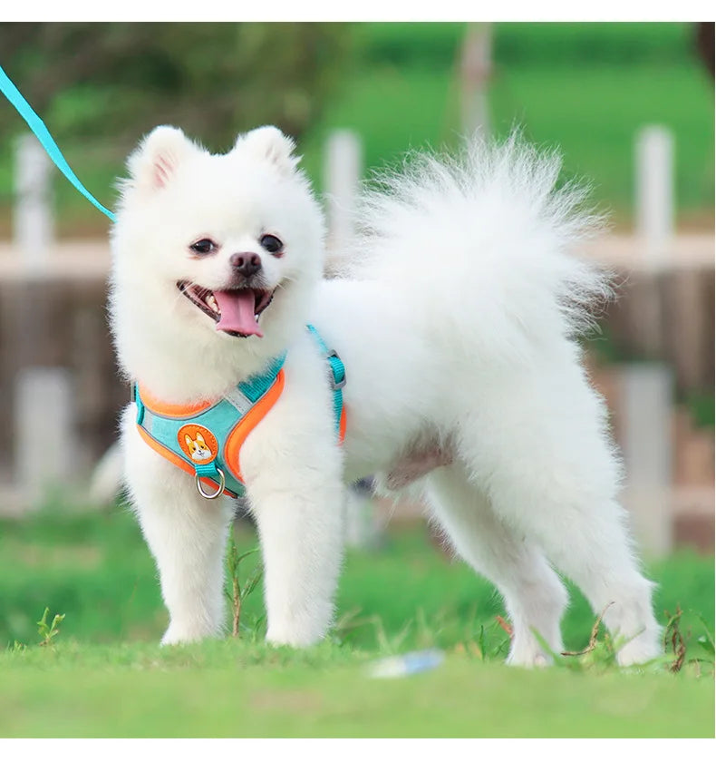 No-Pull Harness and Leash Set - Reflective Vest for Small Dogs