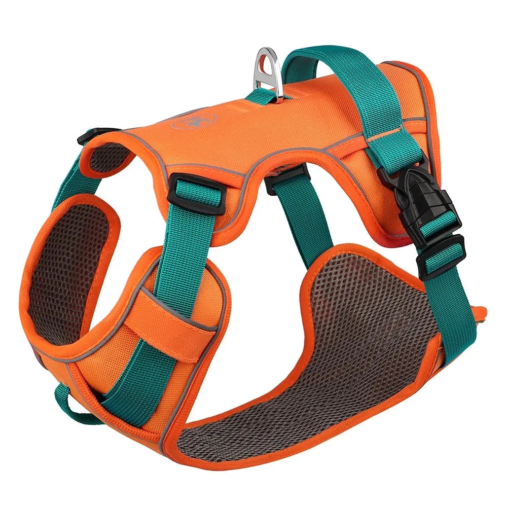 Dog Chest Strap Harness & Leash Set - Adjustable for Small to Large Breeds