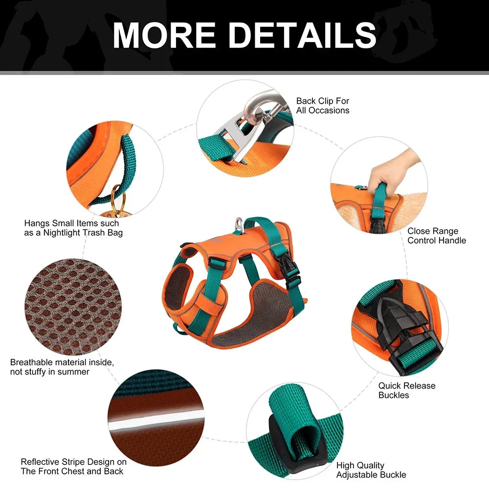 Dog Chest Strap Harness & Leash Set - Adjustable for Small to Large Breeds