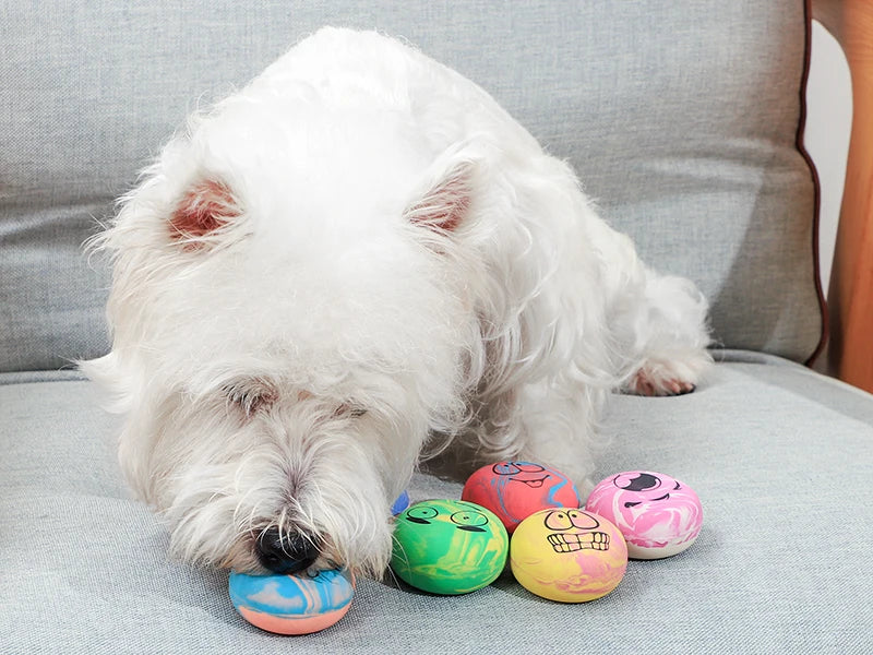 Squeaky Latex Dog Toy Balls – Pack of 6 for Small Dogs
