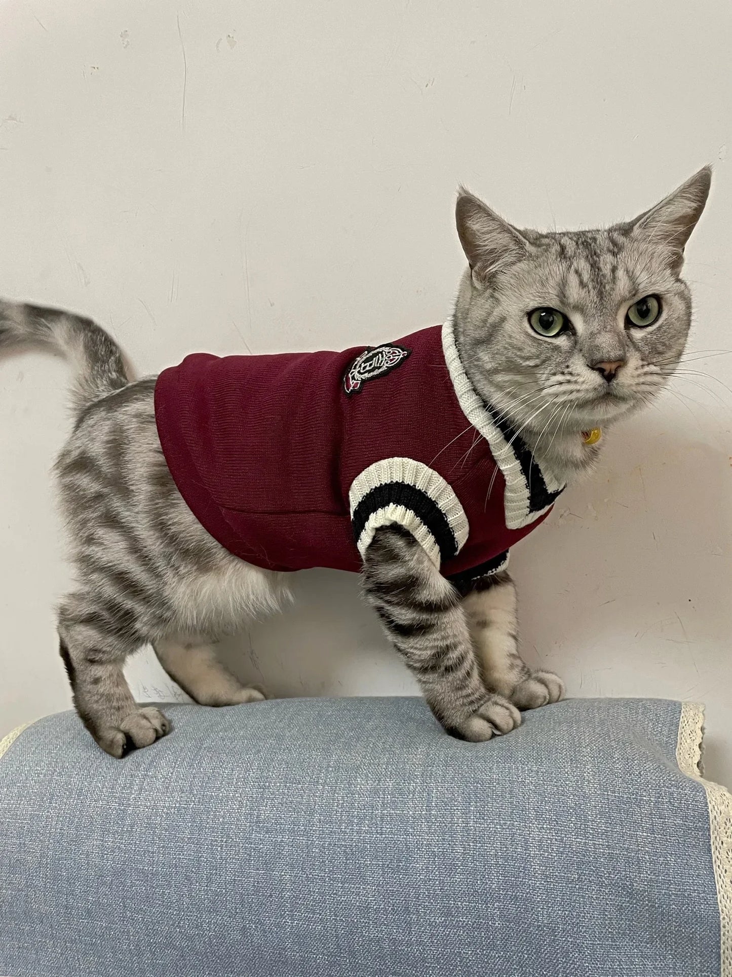 Pet Sweater - Warm Pullover Vest for Dogs and Cats