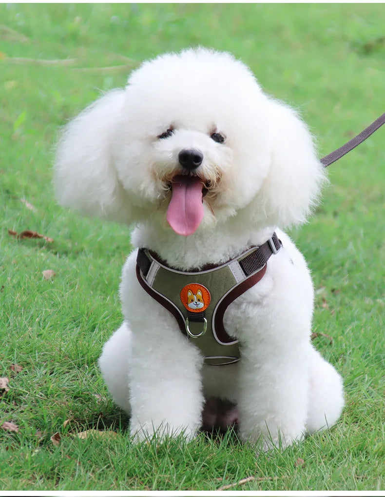 No-Pull Harness and Leash Set - Reflective Vest for Small Dogs