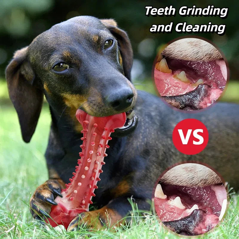 Ultra-Tough Chew Toys for Large Dogs - Beef Flavored Dental Cleaning Bones