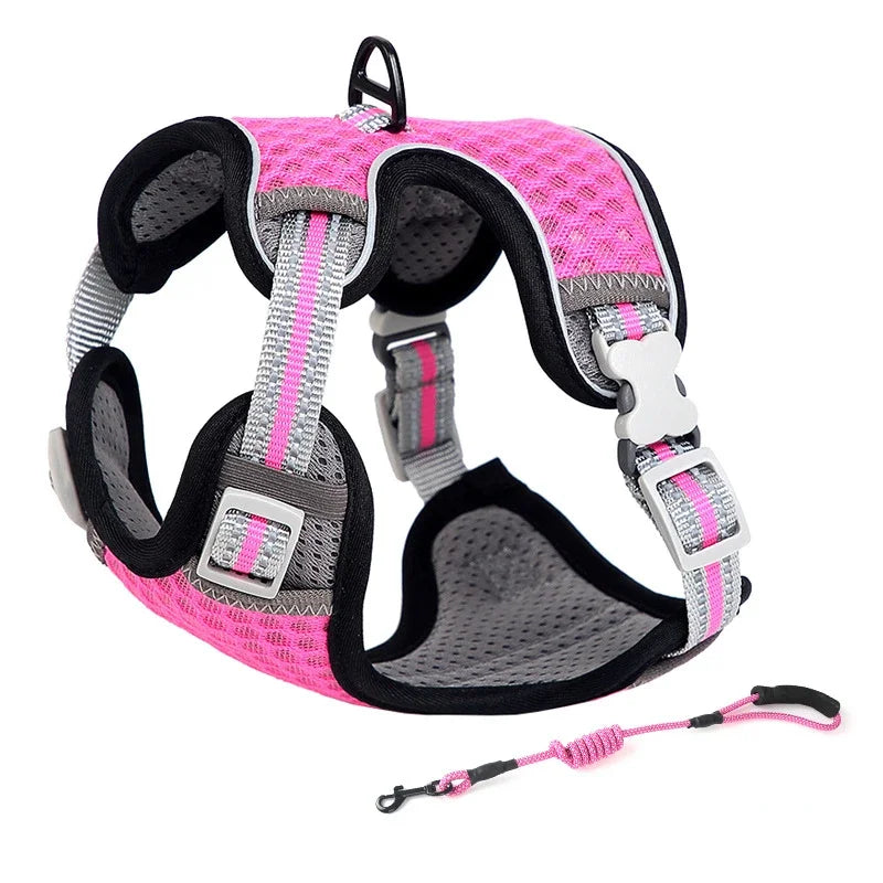 Reflective Cat Harness and Leash Set - Escape Proof, Adjustable Walking Harness