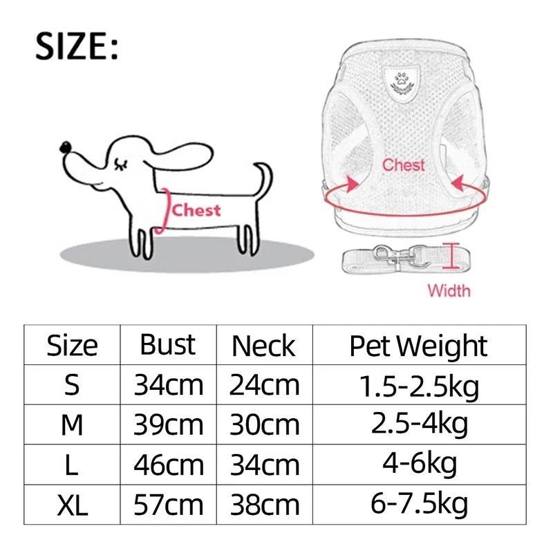 Adjustable Small Dog Harness and Leash Set - Breathable Vest