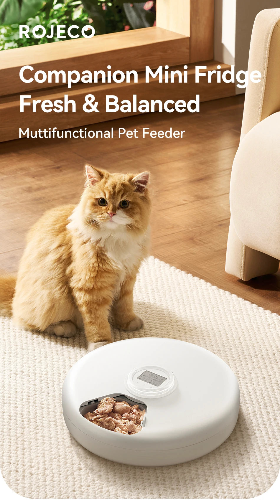 Wireless Automatic Pet Feeder with 6-Meal Capacity and Smart LED Touch Control