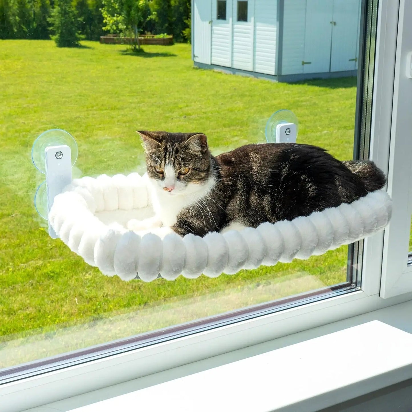 Perchoir de fenêtre pliable et hamac pour chat avec ventouses