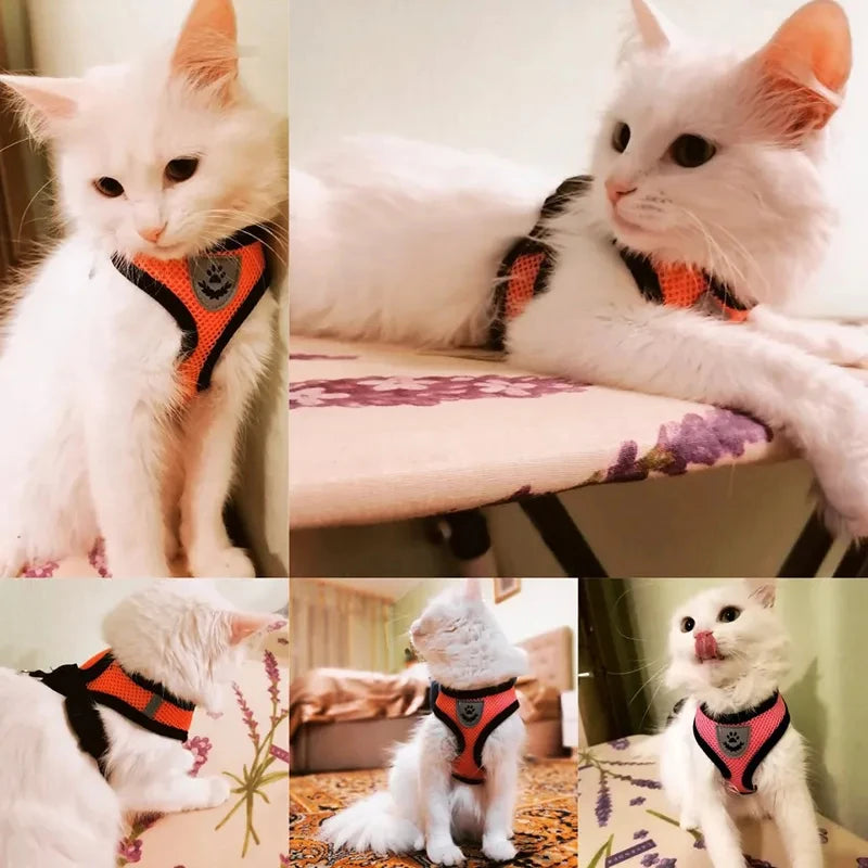Escape-Proof Cat Harness & Leash Set - Adjustable Mesh Vest for Cats & Small Dogs